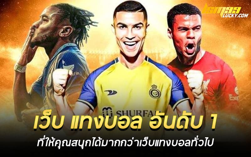 เว็บ แทงบอล อันดับ 1