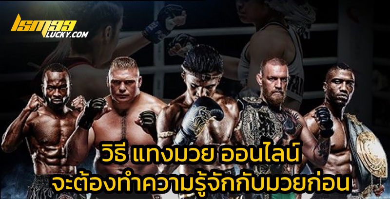 วิธี แทงมวย ออนไลน์