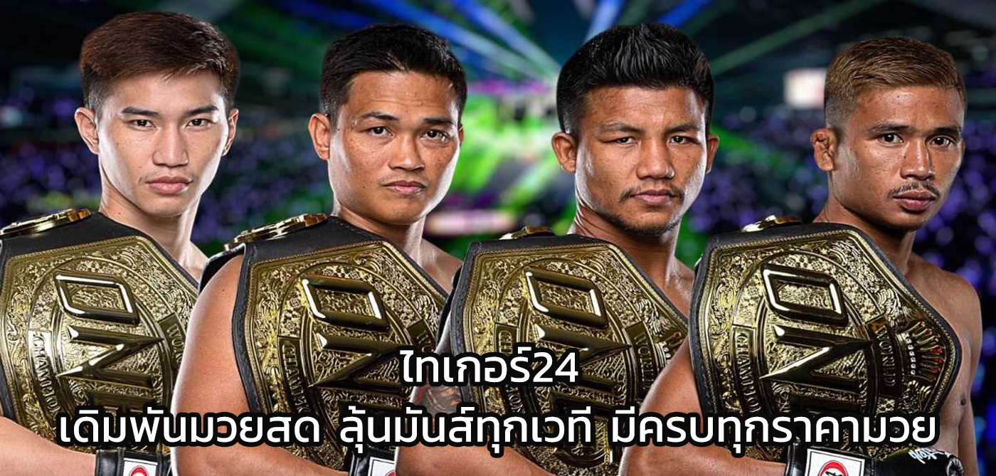 ไทเกอร์24