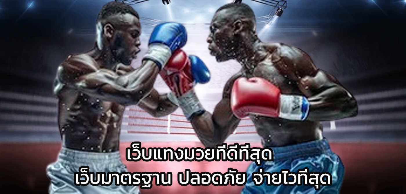 เว็บแทงมวยที่ดีที่สุด