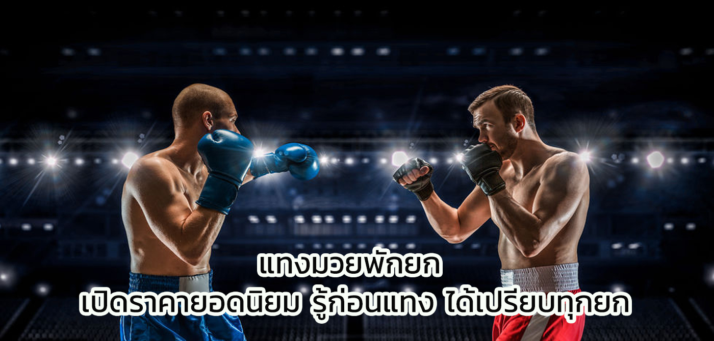 แทงมวยพักยก