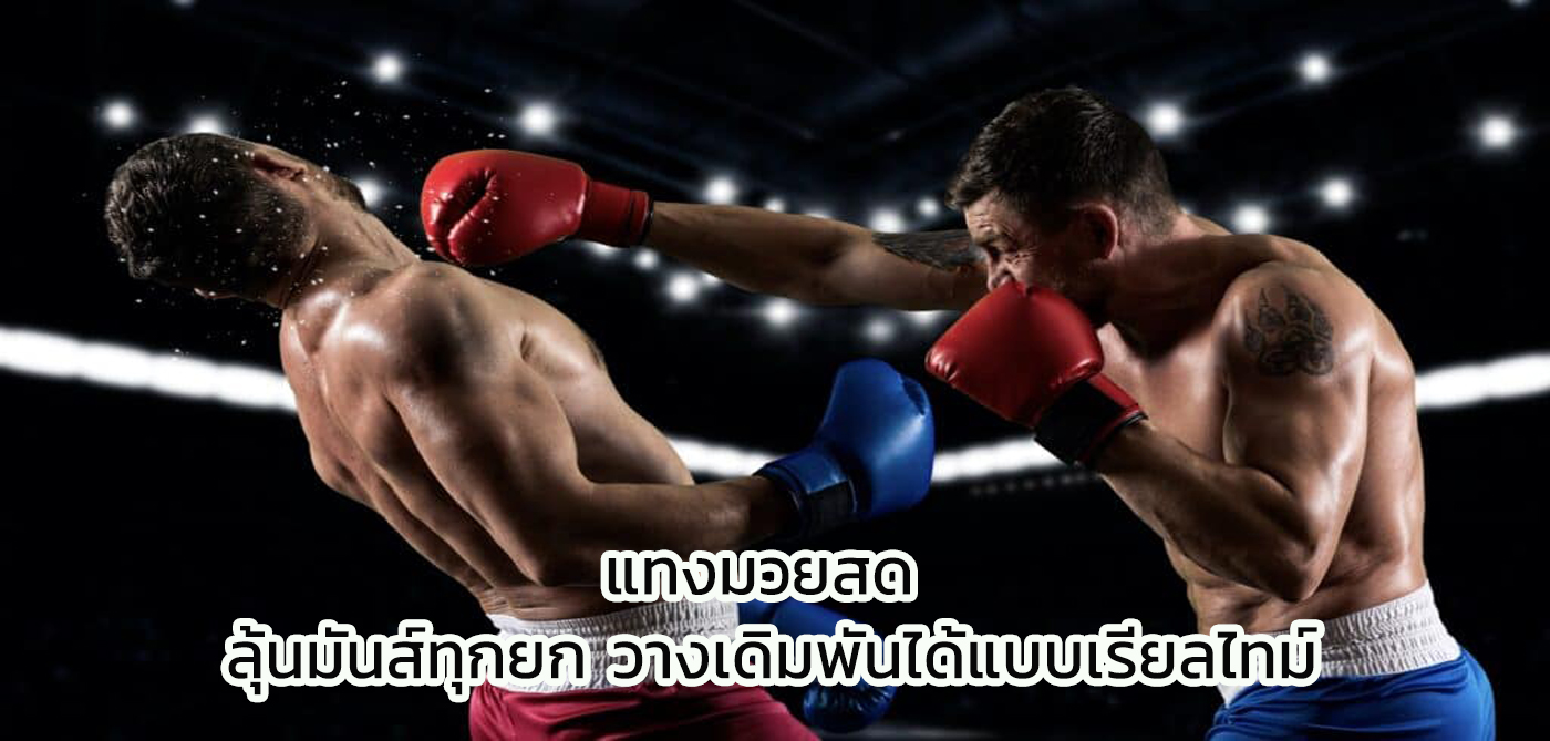 แทงมวยสด