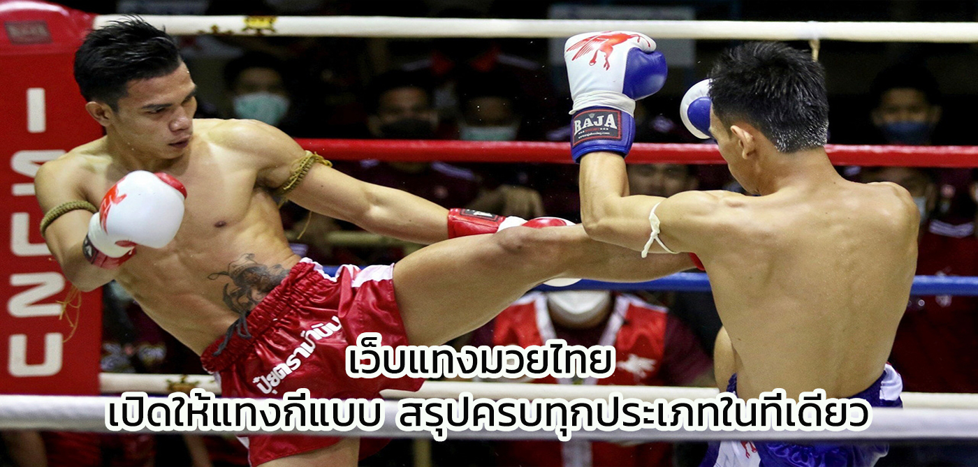 เว็บแทงมวยไทย