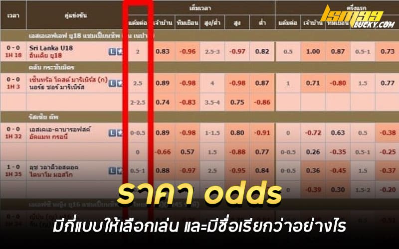 ราคา odds