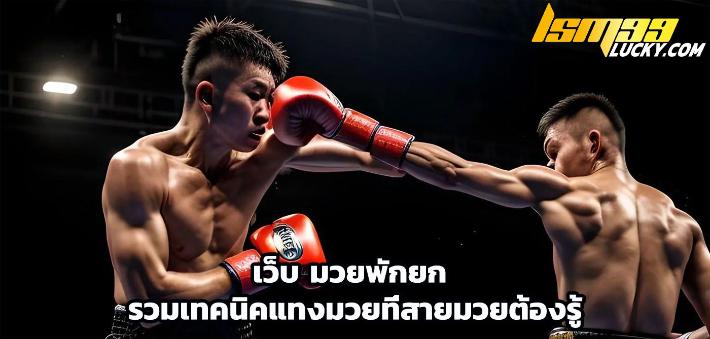 เว็บ มวยพักยก