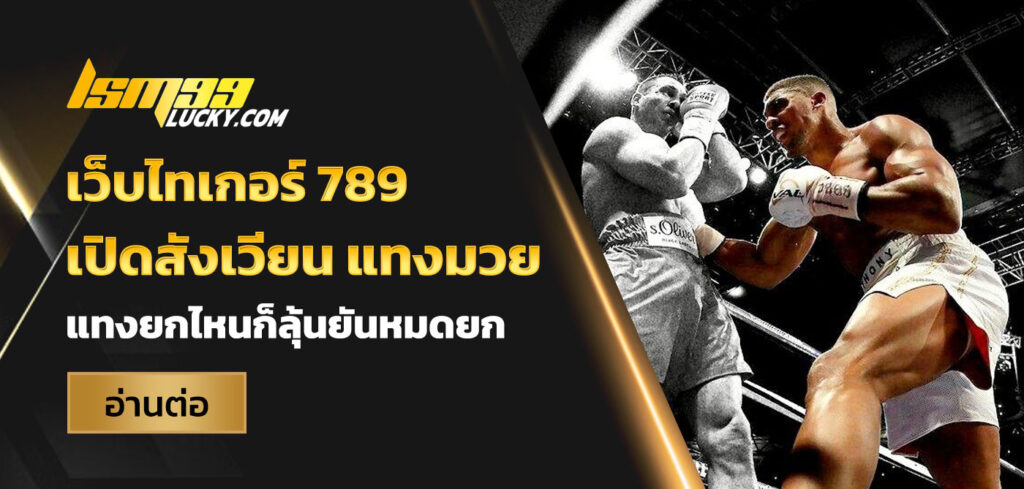 เว็บไทเกอร์ 789