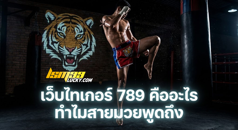 เว็บไทเกอร์ 789