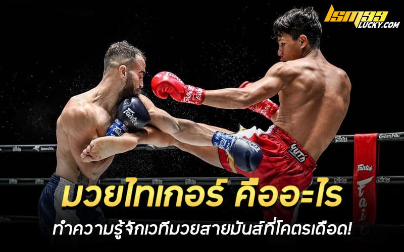 มวยไทเกอร์ คืออะไร