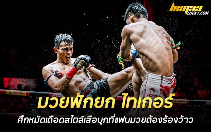 มวยพักยก ไทเกอร์