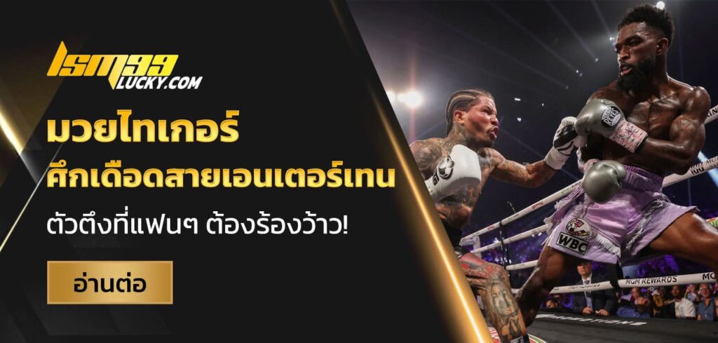 มวยไทเกอร์