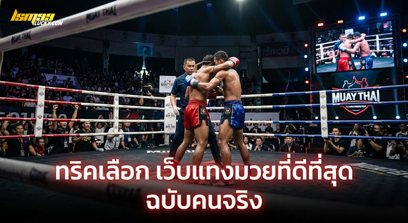 เว็บแทงมวยที่ดีที่สุด