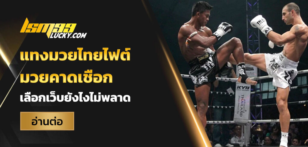 แทงมวยไทยไฟต์