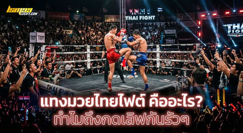 แทงมวยไทยไฟต์