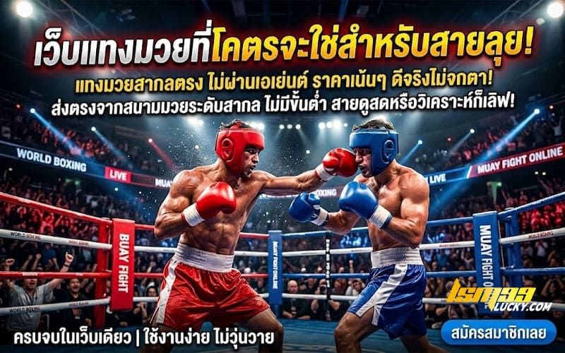 แทงมวยสากล อันดับ 1