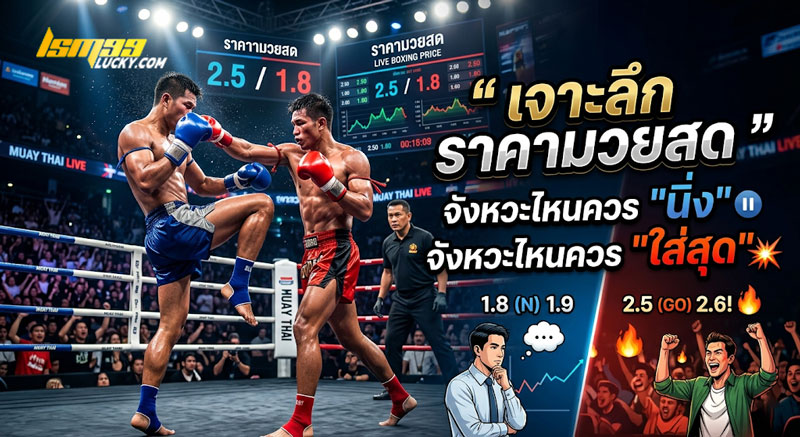 ราคามวยสด