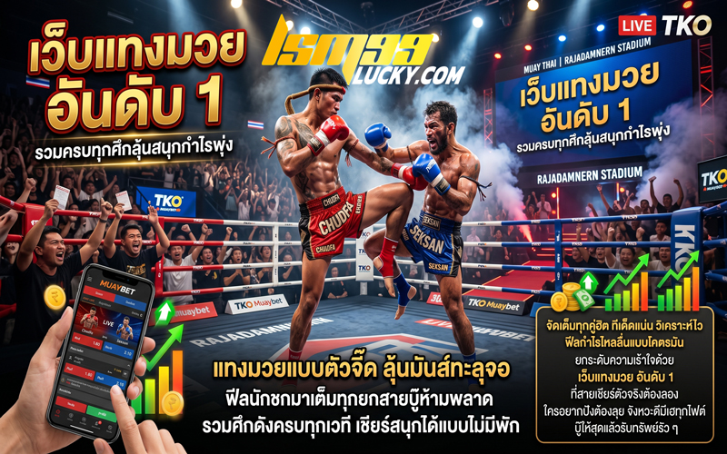 เว็บแทงมวย อันดับ 1